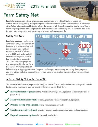 NFU policy brief: Farm Safety Net in the 2018 Farm Bill