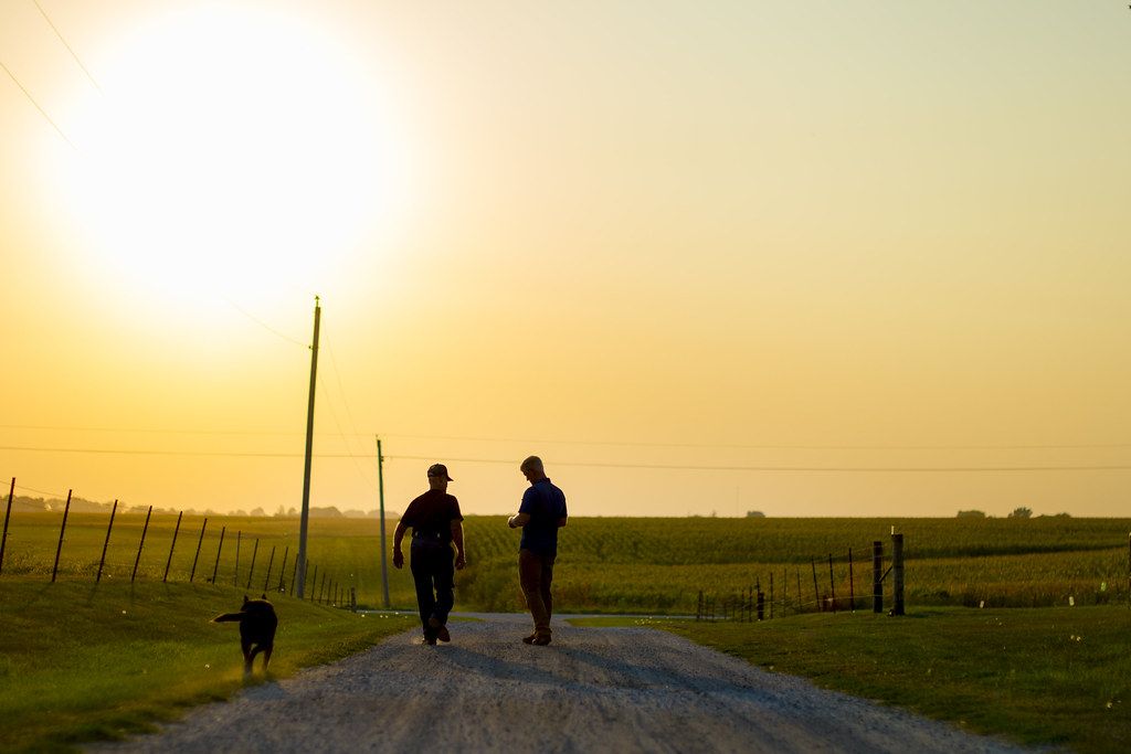 Iowa farmer Jason Grimm and his grandfather Norman Grimm checking their black bean crop near North English, Iowa